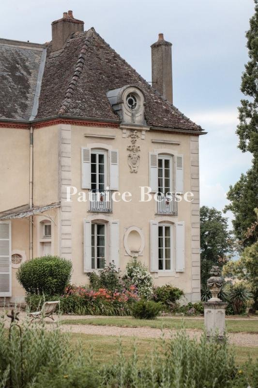 Whispers of Burgundy: A Hidden 18th-Century Château Veiled in Topiary and Time - 5