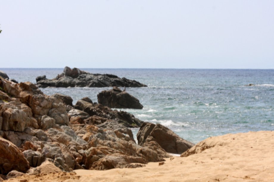 1 Bedrooms Single Family Detached In San Francisco, Nayarit, Nayarit, Mexico For Sale (12896815)