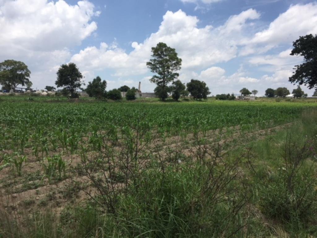 Terrain à Cuapiaxtla, État de Tlaxcala, Mexique 1 - 13622525