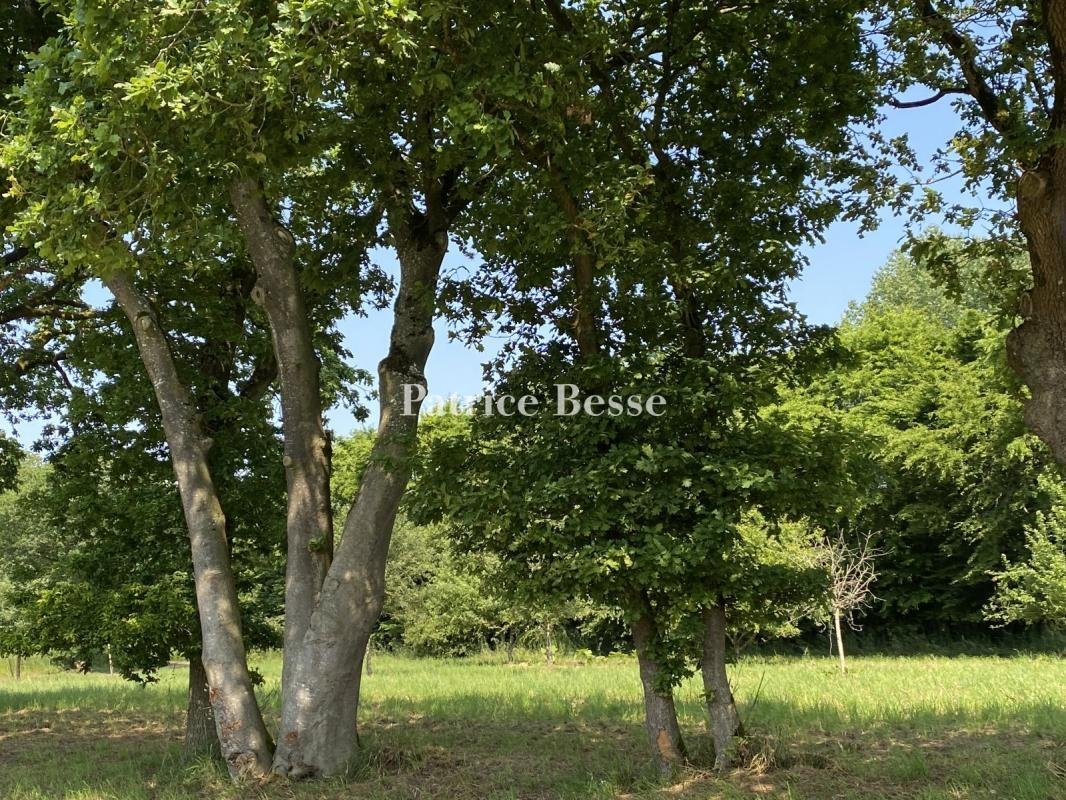 A Haven Of Nature Set In 60 Hectares Of In Saint Brieuc, Brittany