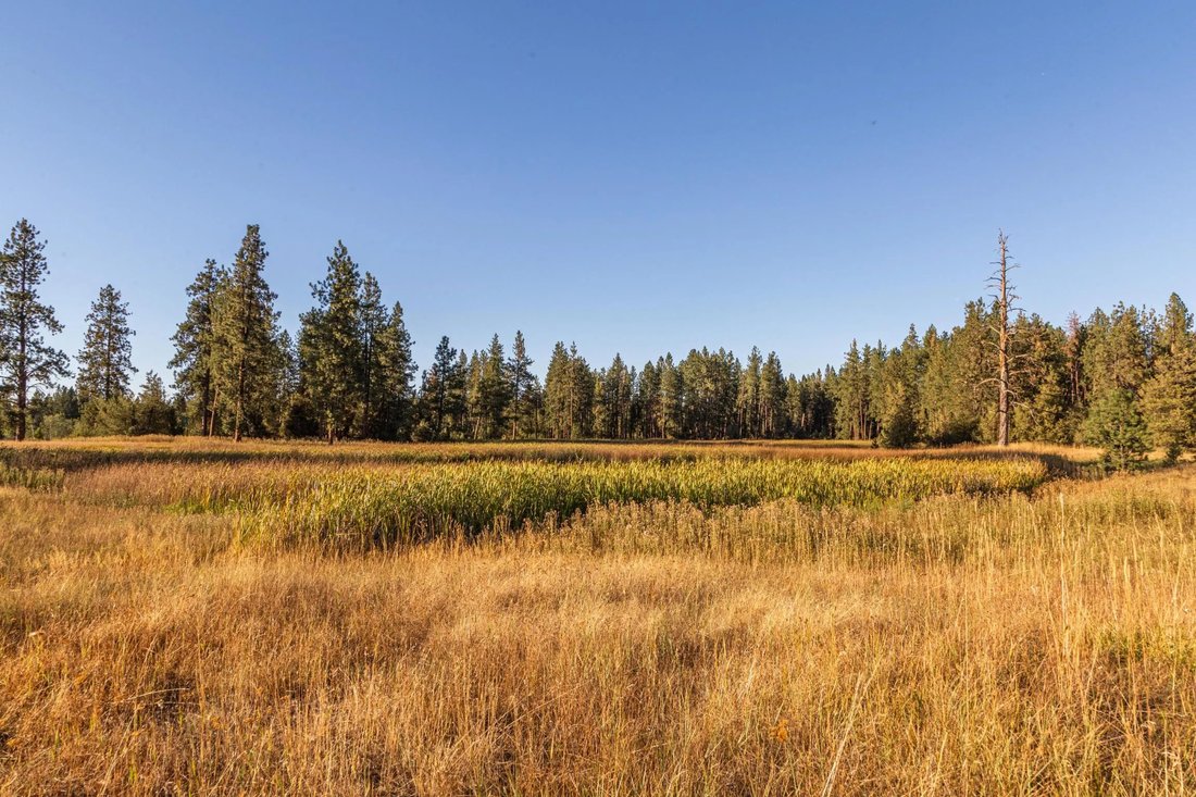 60+ Acres With Spectacular Views In Rollins, Montana, United States For