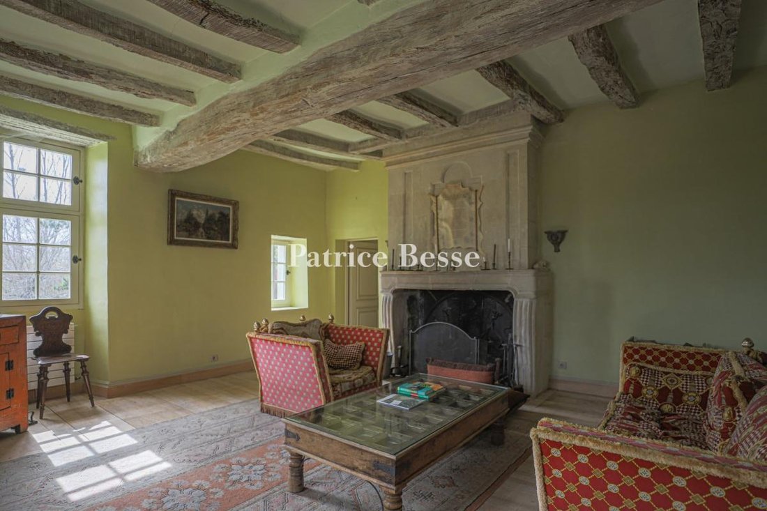 A 16th Century Manor House In Cravant Les Côteaux, Centre Val De Loire, France For Sale (13602112)
