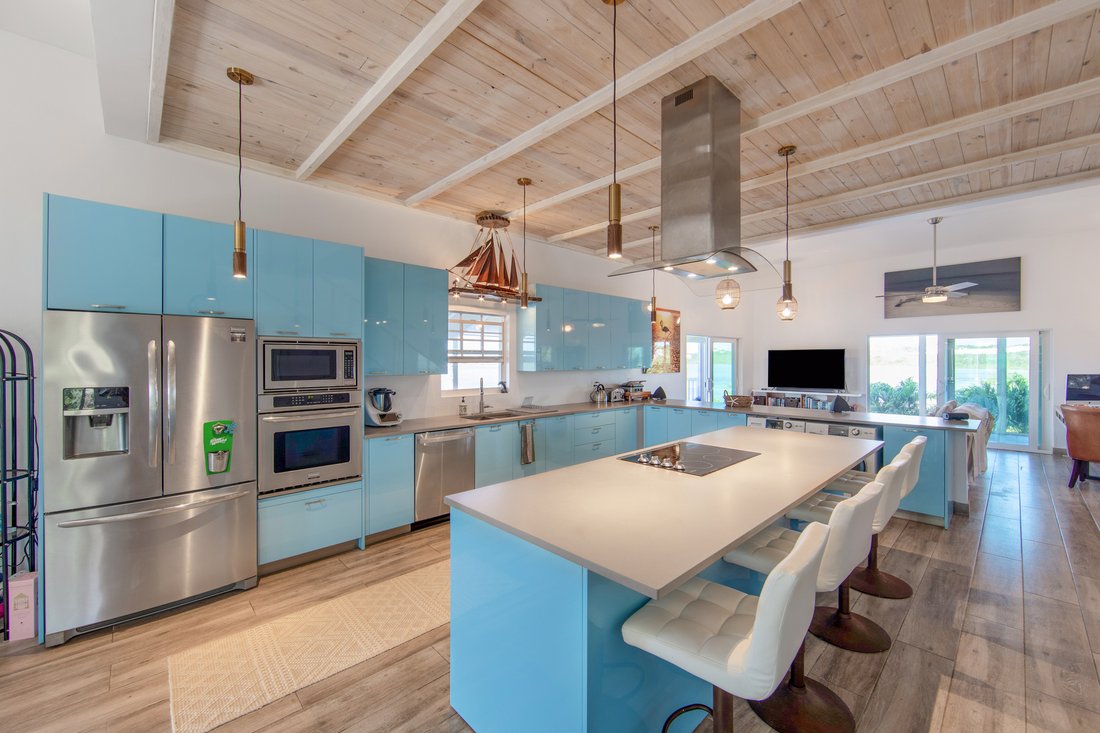 Turtle In Road Settlement, Caicos Islands, Turks And Caicos