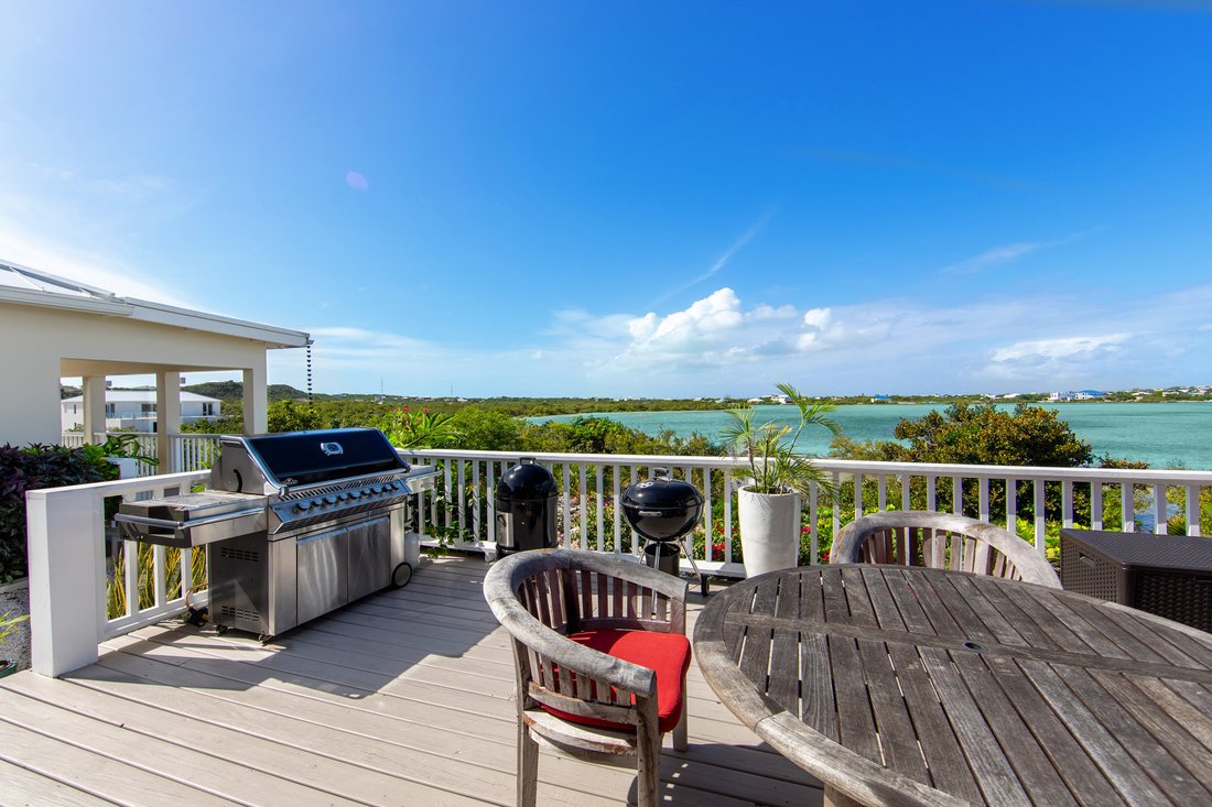 Turtle In Road Settlement, Caicos Islands, Turks And Caicos