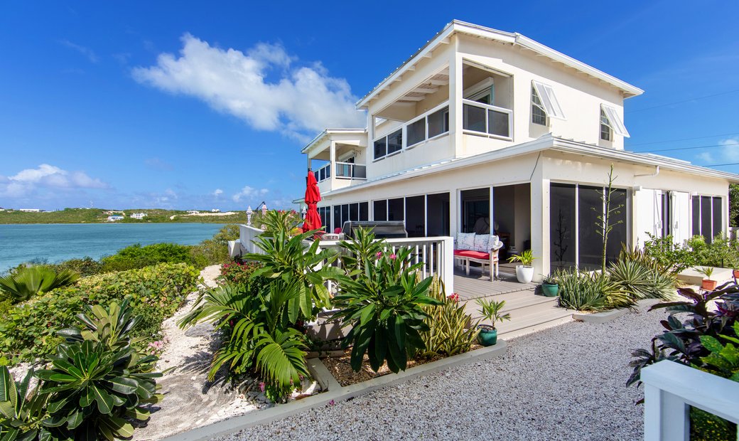 Turtle In Road Settlement, Caicos Islands, Turks And Caicos