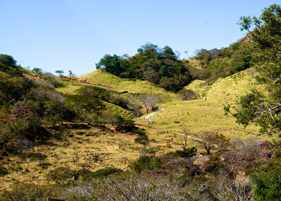 Monteverde Rolling Hills And Jungle In Monteverde, Costa Rica For Sale