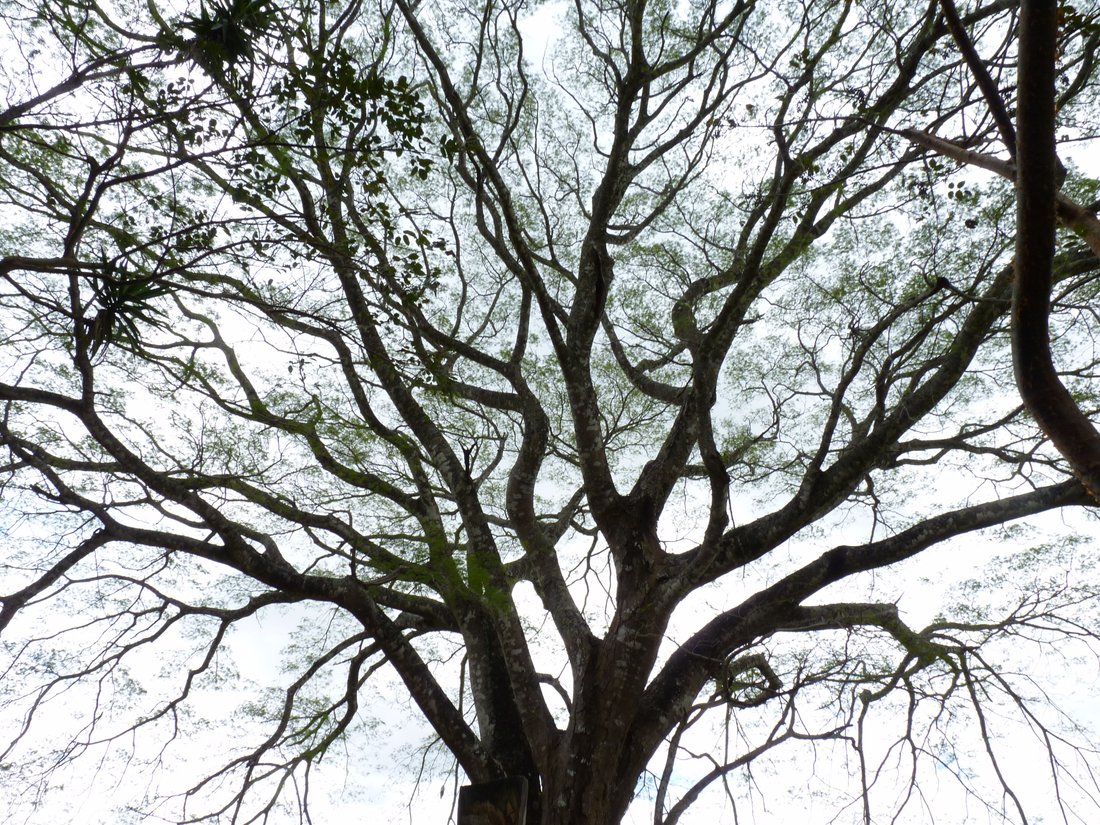 Monteverde Amazing Views And Open Landscapes In Monteverde, Costa Rica