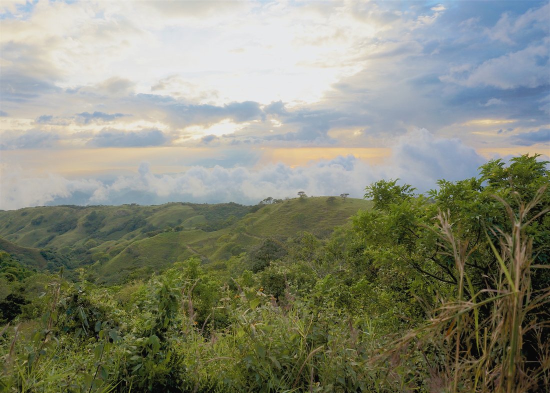 Monteverde Rolling Hills And Jungle In Monteverde, Costa Rica For Sale