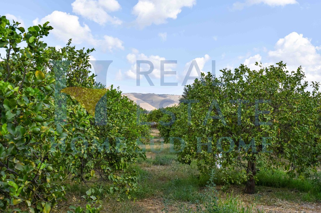 Villa in Center - Lungomare, Avola, Sicily 3 - 13627202