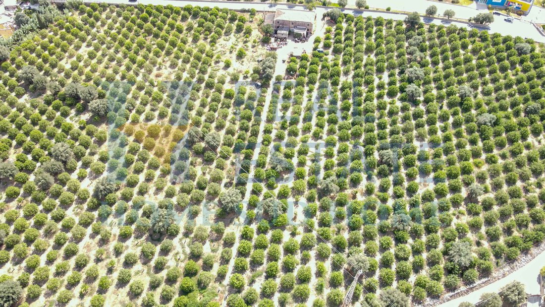 Villa in Center - Lungomare, Avola, Sicily 5 - 13627202