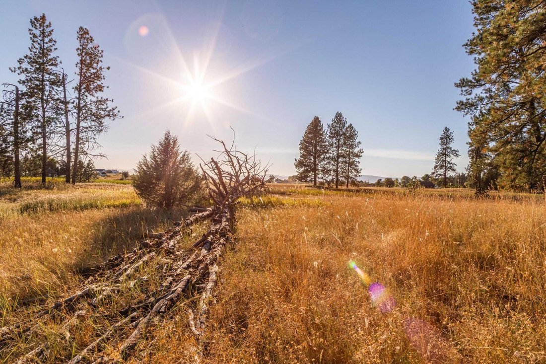 60+ Acres With Spectacular Views In Rollins, Montana, United States For