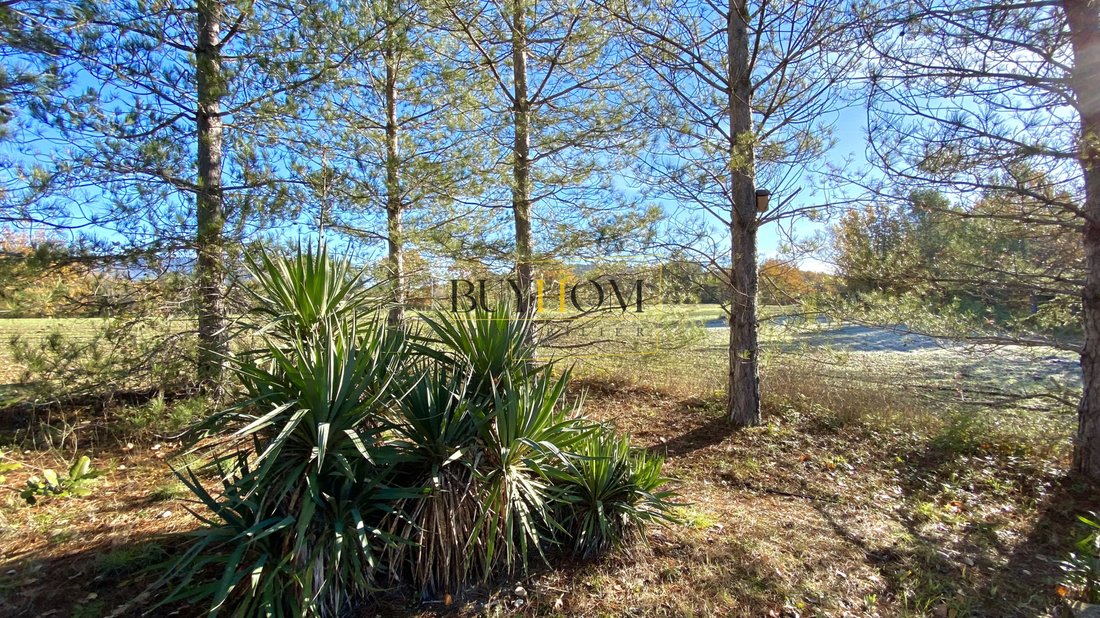 Whispers of Provence: A Timeless Luberon Estate with Pigeonnier & Stables - 5