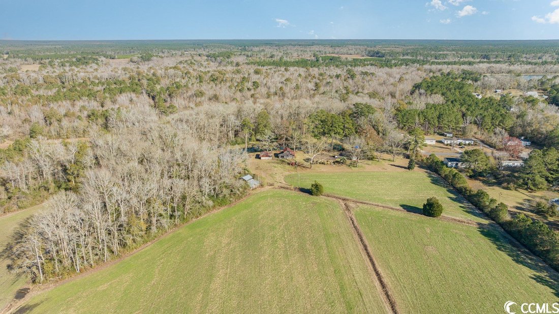 Land in Longs, South Carolina, United States 4 - 13630878