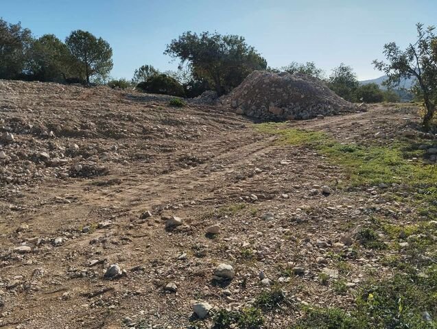Land in Loule (Sao Clemente), Algarve, Portugal 3 - 13635461