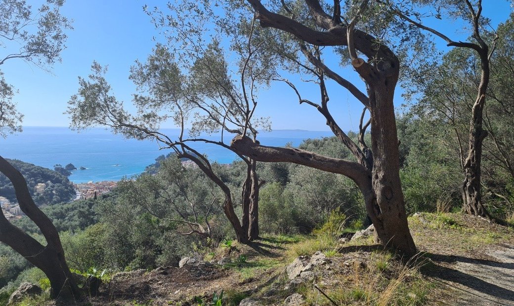 Greece In Parga, Greece For Sale (13637468)