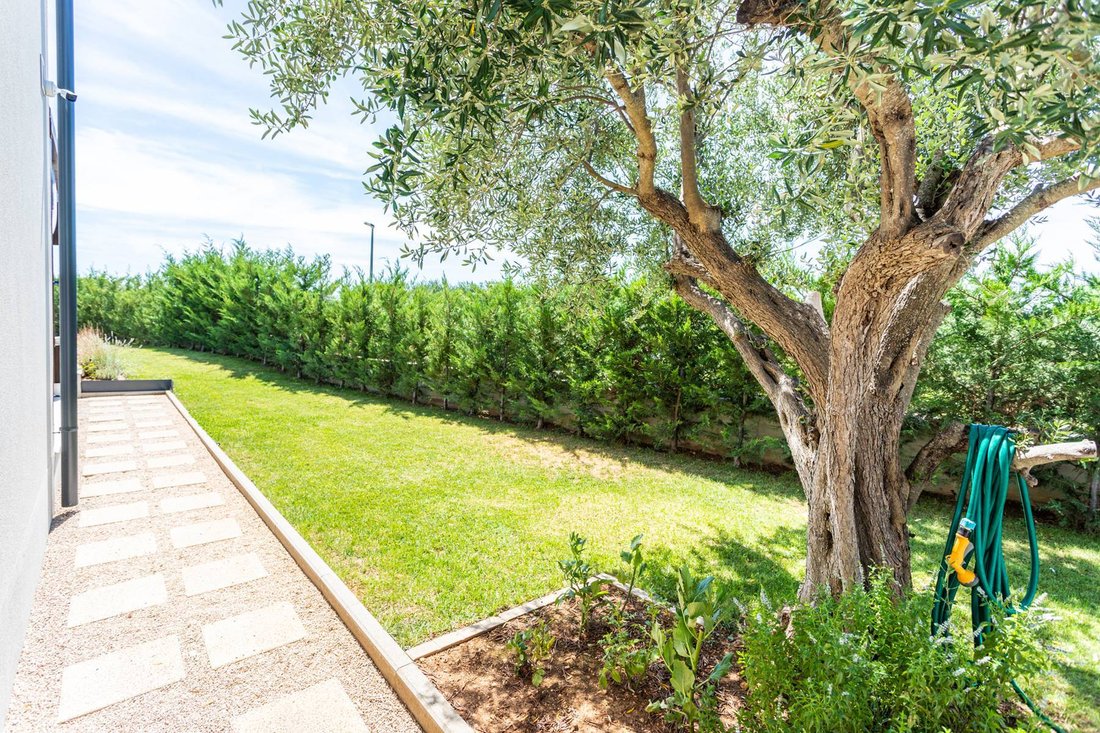 Sibenik, Dubrava, In Dubrava Kod šibenika, šibenik Knin County, Croatia