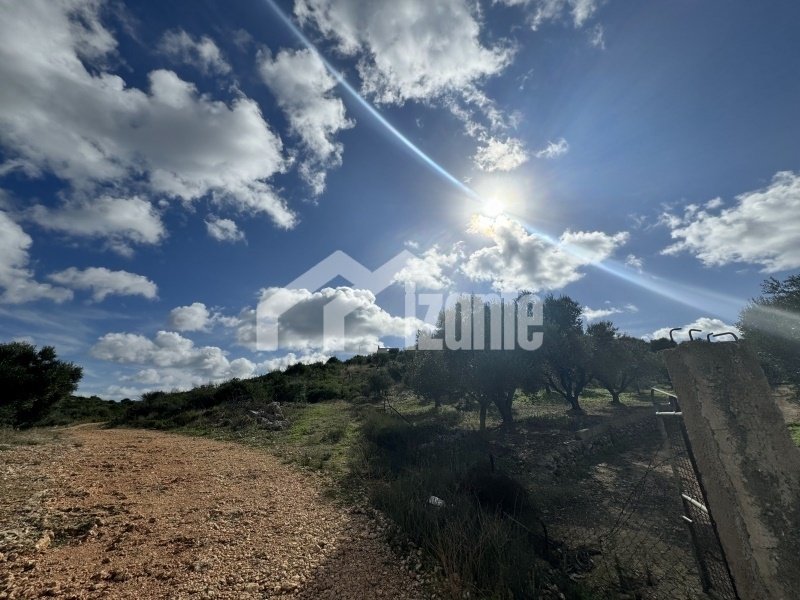 Land in Agala, Laganas, Greece 4 - 13644977