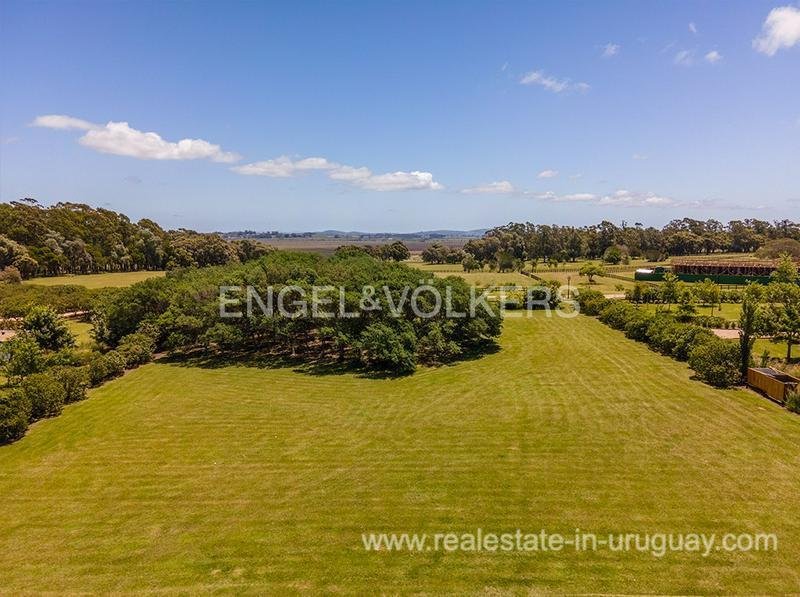 Fasano Las Piedras With Views Of The In La Barra, Maldonado Department