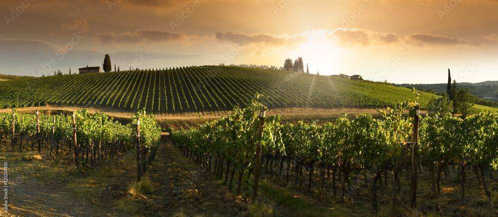 Villa in San Gimignano, Tuscany, Italy 2 - 13659067