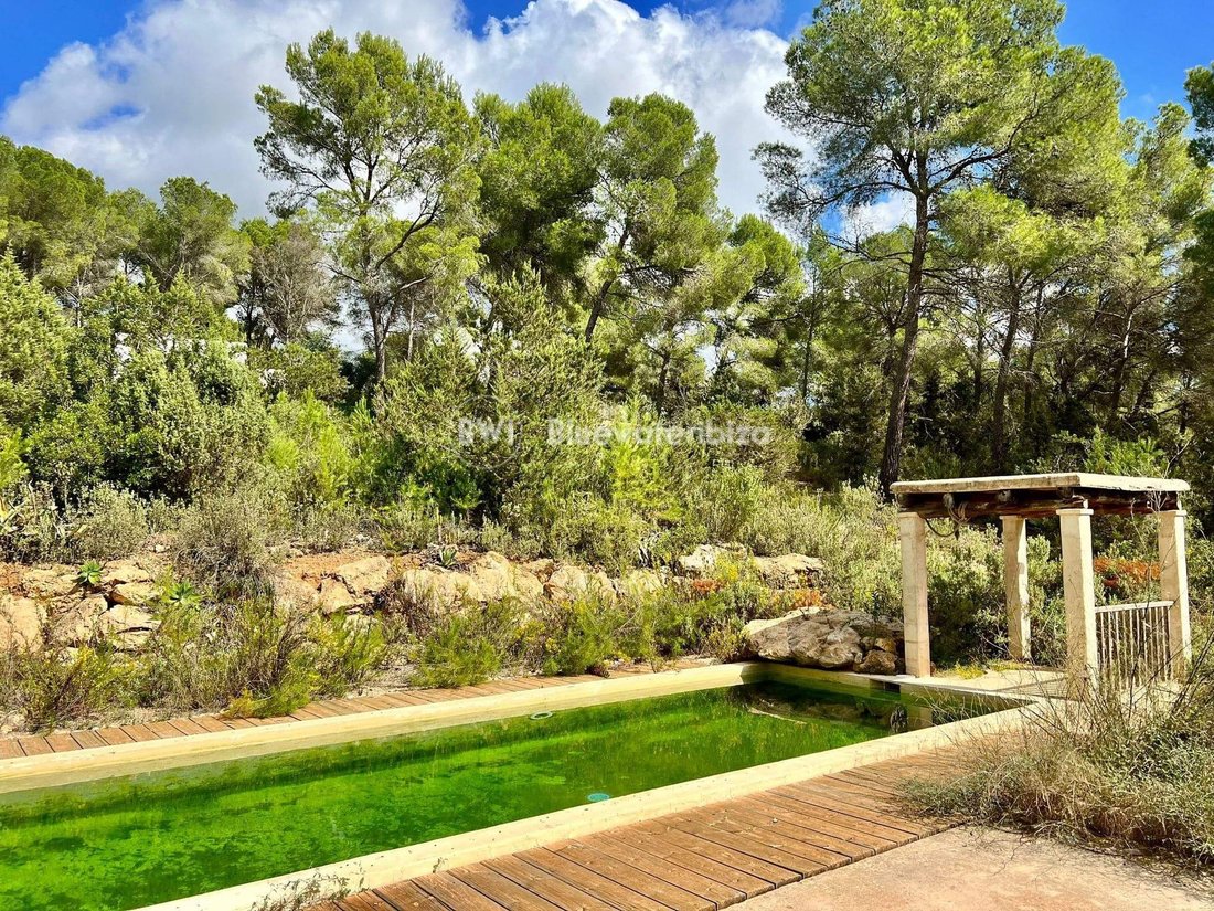 Chalet in Cala Jondal, Sant Josep de sa Talaia, Spain 3 - 13651578