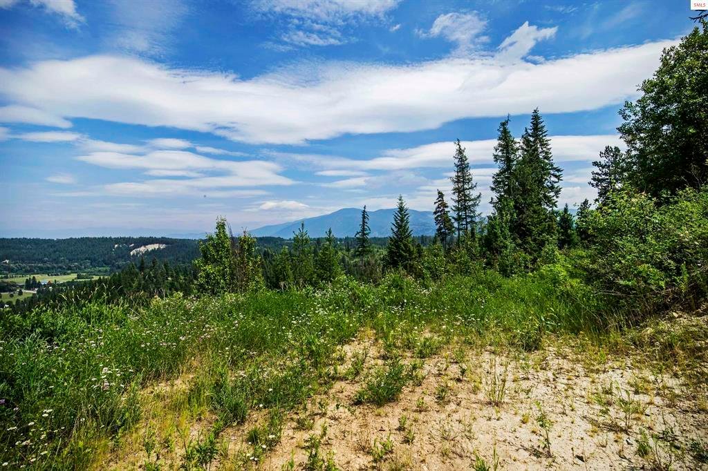 Land Single Family Acreage In Naples, Idaho, Vereinigte Staaten Zu