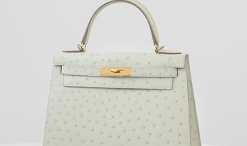HERMÈS Kelly   V6_Ostrich Kelly 28 Sellier hand in Pearl Gray with Gold ha (13675390)