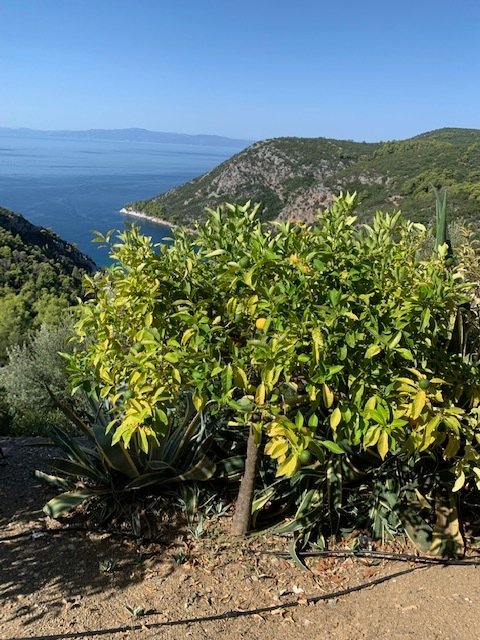 Villa in Skopelos, Thessaly and Central Greece, Greece 4 - 13671641