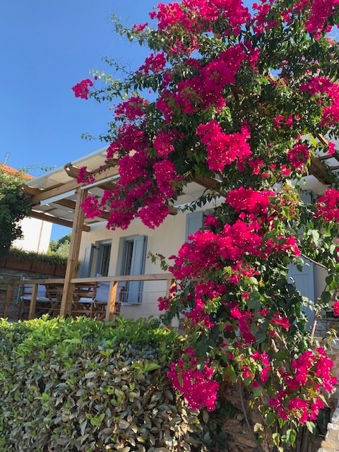 Villa in Skopelos, Thessaly and Central Greece, Greece 2 - 13671641