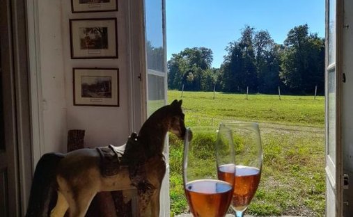 Castle for Sale in Chaumont, Grand Est, France