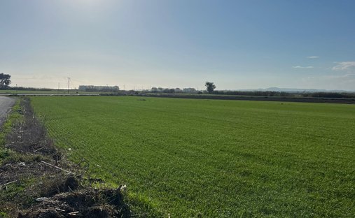 Land in Perivolia, Larnaca, Cyprus 1