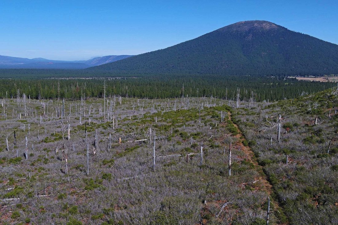 70390 Mc Allister Road Sisters, Or 97759 In Camp Sherman, Oregon