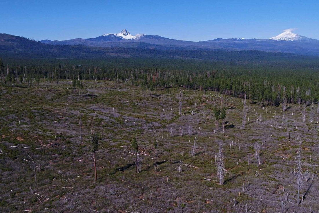 70390 Mc Allister Road Sisters, Or 97759 In Camp Sherman, Oregon