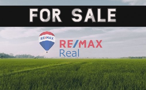 Land in Community of Achlada, Gazi, Greece 1