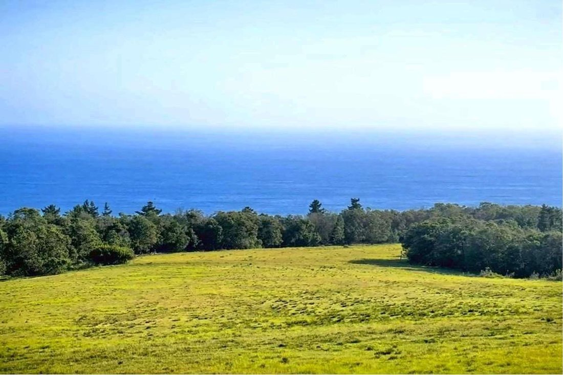 Exclusive Lifestyle Farm In In Oubaai Golf Estate, Western Cape, South