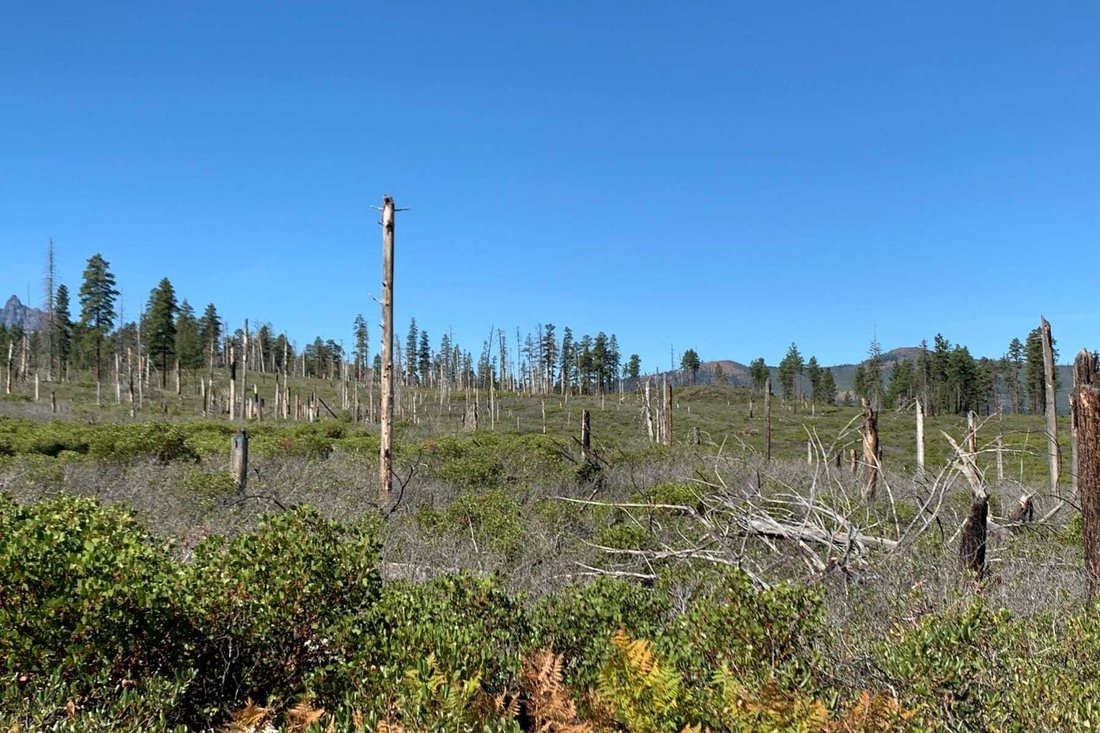 70390 Mc Allister Road Sisters, Or 97759 In Camp Sherman, Oregon