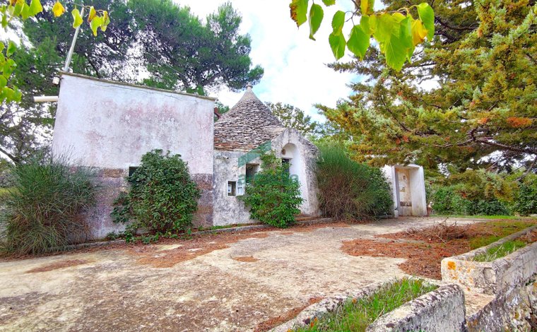 ApuliaFarm porta miele - Apulia Farm