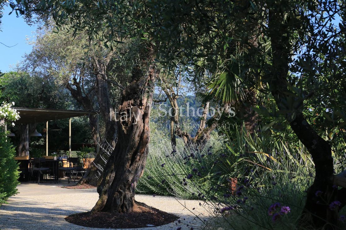 House in Camaiore, Tuscany, Italy 5 - 11346101
