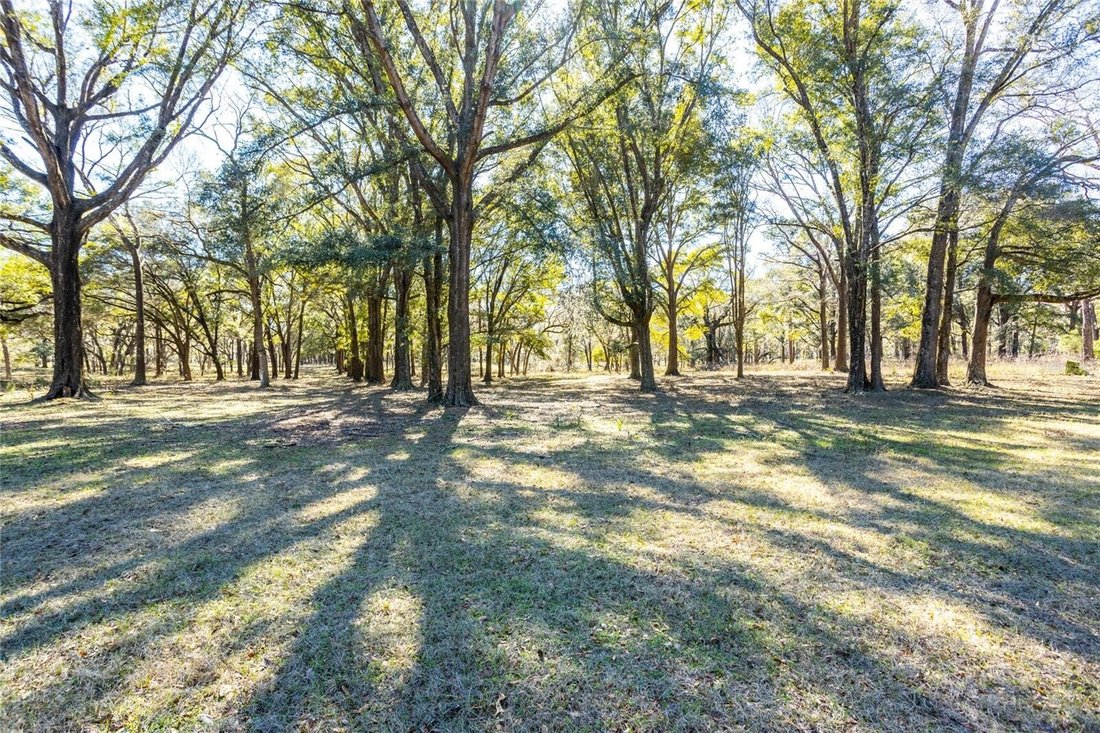 Land in HIGH SPRINGS, FL, United States 1 - 13685406