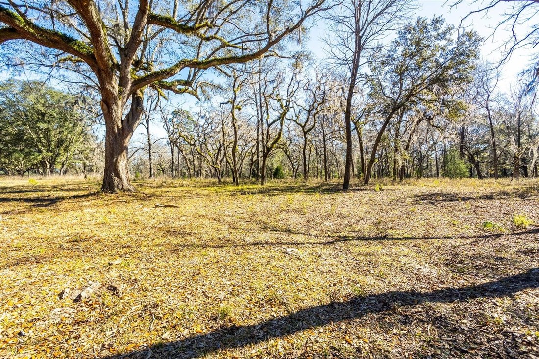 Land in HIGH SPRINGS, FL, United States 3 - 13685406