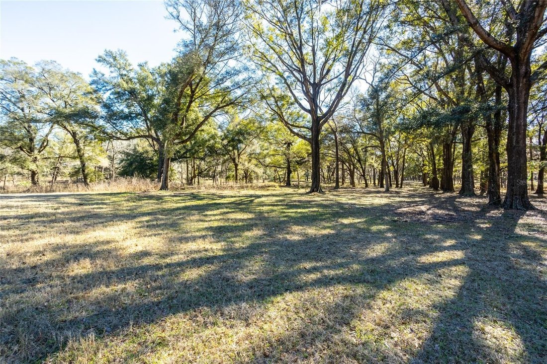 Land in HIGH SPRINGS, FL, United States 2 - 13685406