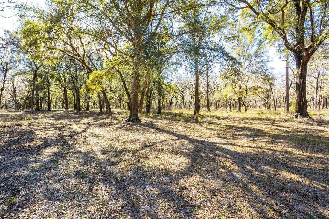 Land in HIGH SPRINGS, FL, United States 5 - 13685406