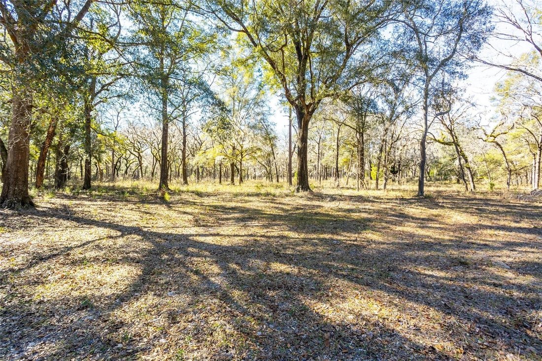 Land in HIGH SPRINGS, FL, United States 4 - 13685406