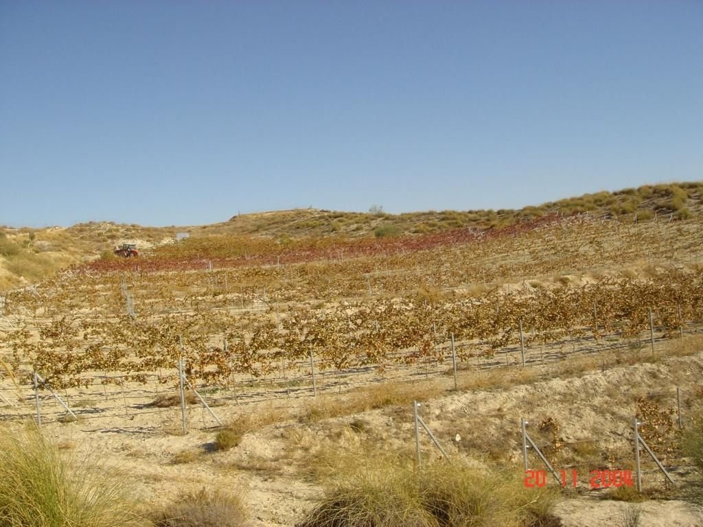 Estate in Cullar, Andalusia, Spain 4 - 13689094