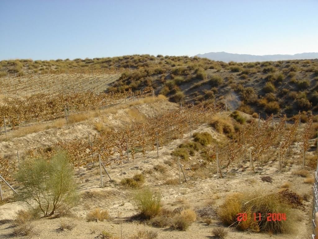 Estate in Cullar, Andalusia, Spain 5 - 13689094