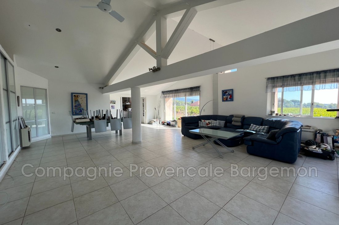 Villa in La Motte, Provence-Alpes-Côte d'Azur, France 3 - 13690608