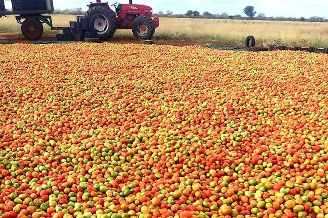 860 Ha Irrigation Farm In Alldays For Sale. In Alldays, Limpopo, South Africa For Sale (13693790)