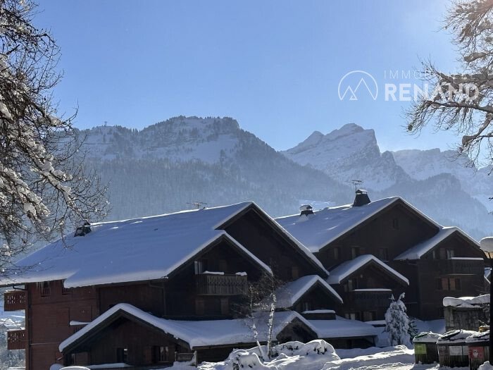 Les Carroz Apartment In Arâches La Frasse, Auvergne Rhône Alpes, France