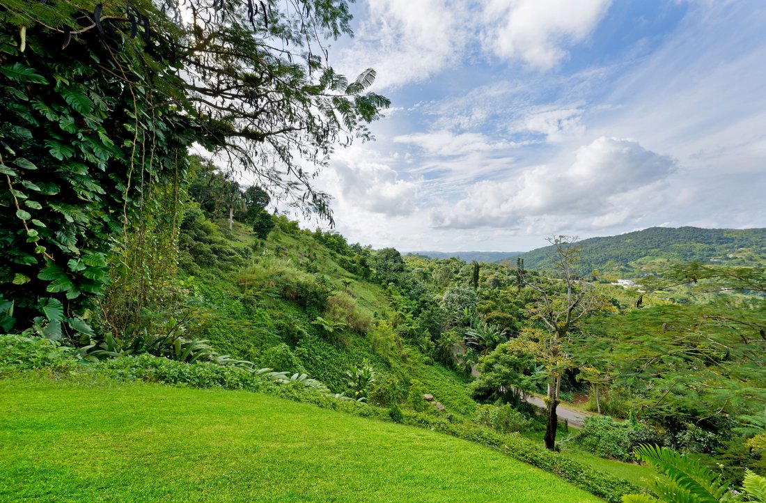Blissful Living In The Mountains In Aguas Buenas, Aguas Buenas, Puerto