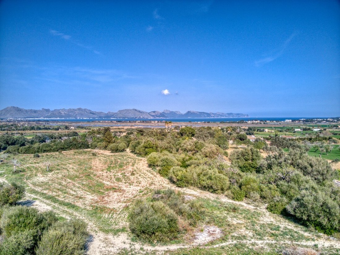 Land in Alcudia, Balearic Islands, Spain 4 - 13634858