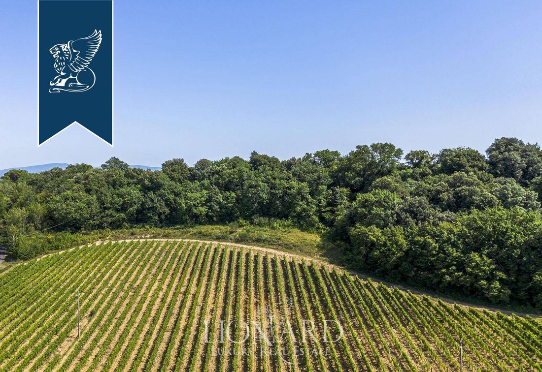 Villa in San Gimignano, Tuscany, Italy 5 - 13703324